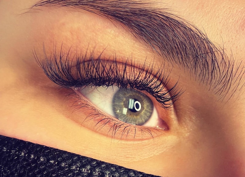 Close up of brows and lashes